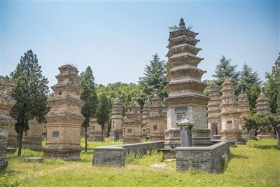 Shaolin Kloster mit Wald Pagoden